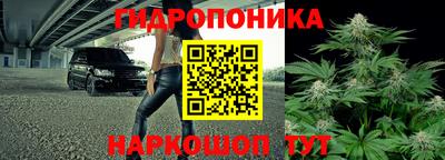 спайс Малгобек