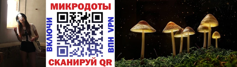 продажа наркотиков  Ялта  Псилоцибиновые грибы Psilocybine cubensis 